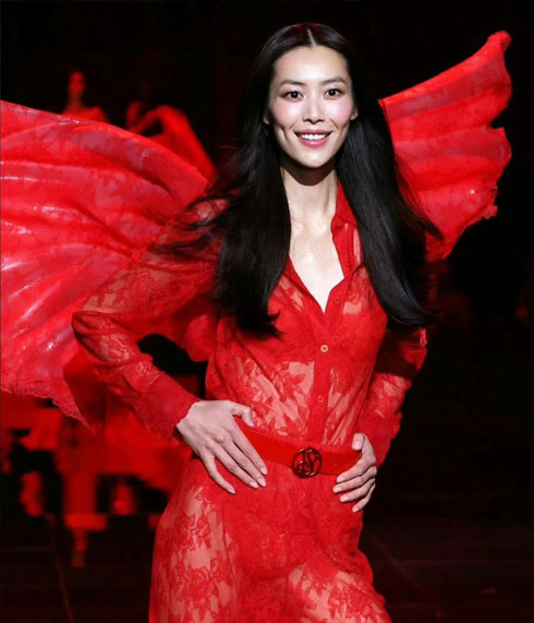 Liu Wen